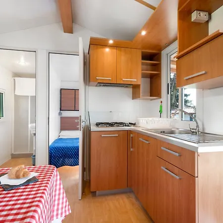 Royal Петтенаско